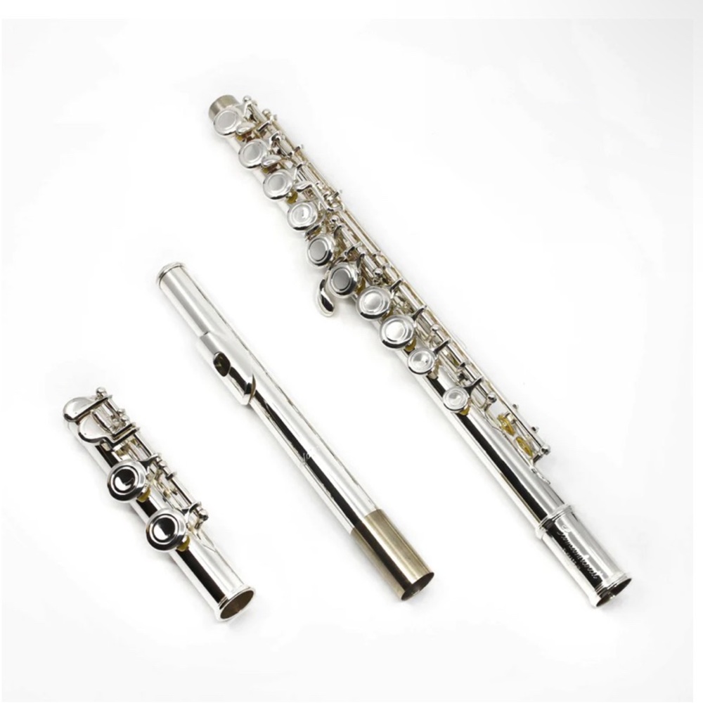 COPY - gemeinhardt flute